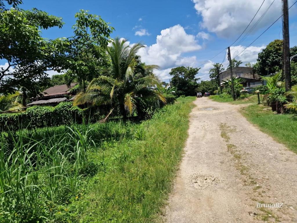 listing image with ID 103549