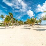 listing image thumbnail with ID 96505