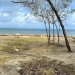listing image thumbnail with ID 82219