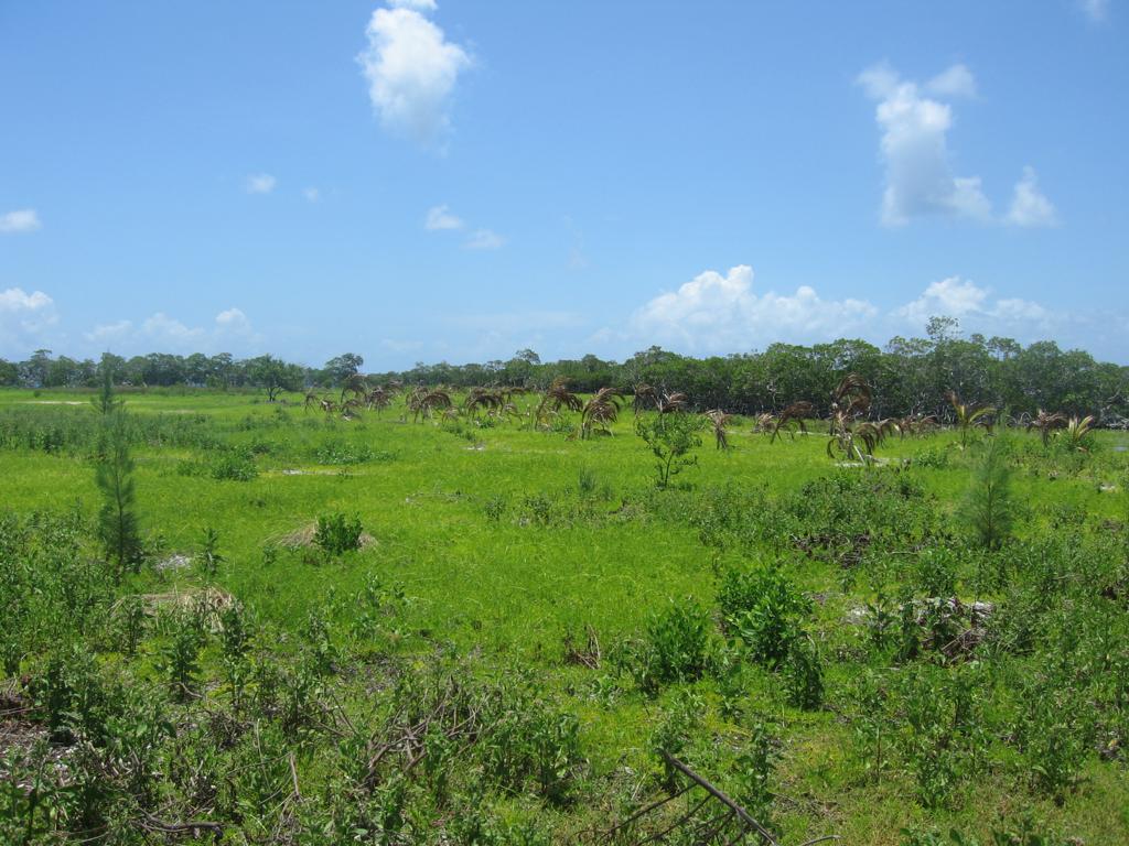 listing image with ID 76956