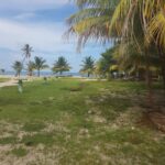 listing image thumbnail with ID 102894