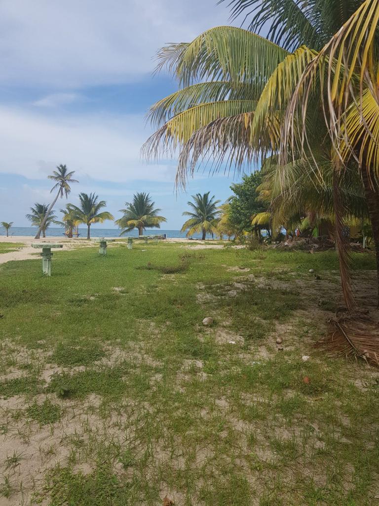 listing image with ID 102894
