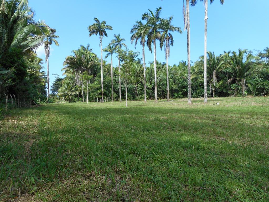 listing image with ID 98295