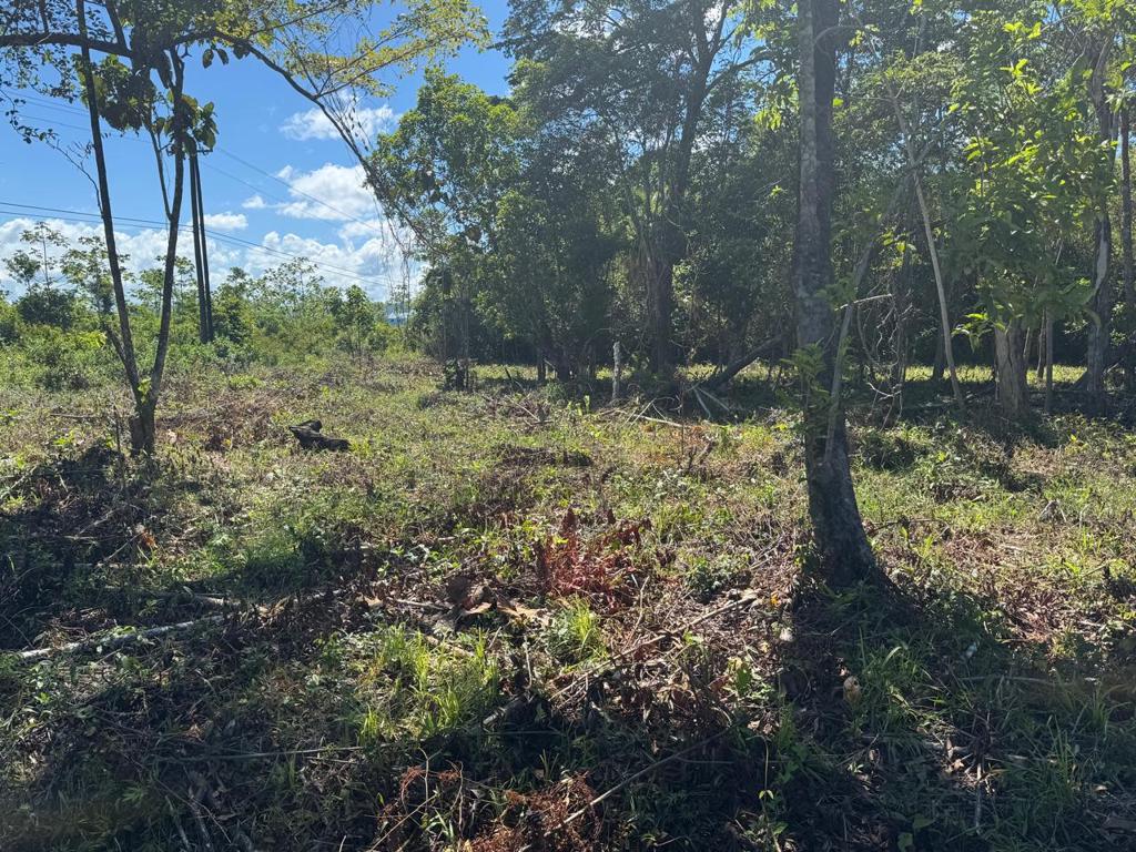 listing image with ID 79286