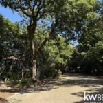 listing image thumbnail with ID 108724