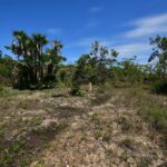 listing image thumbnail with ID 86344