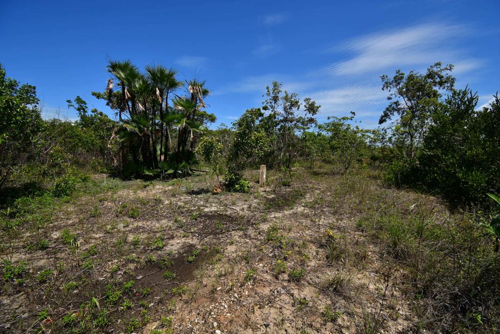 listing image with ID 86344