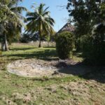 listing image thumbnail with ID 92872