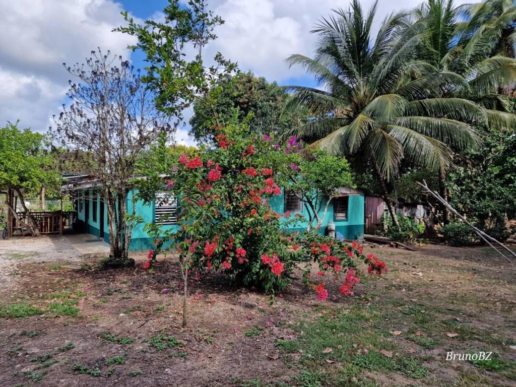listing image with ID 106596
