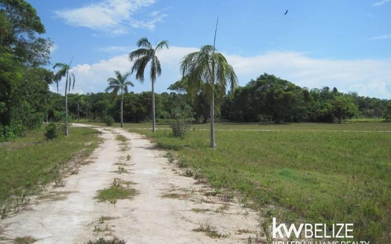 listing image with ID 107355