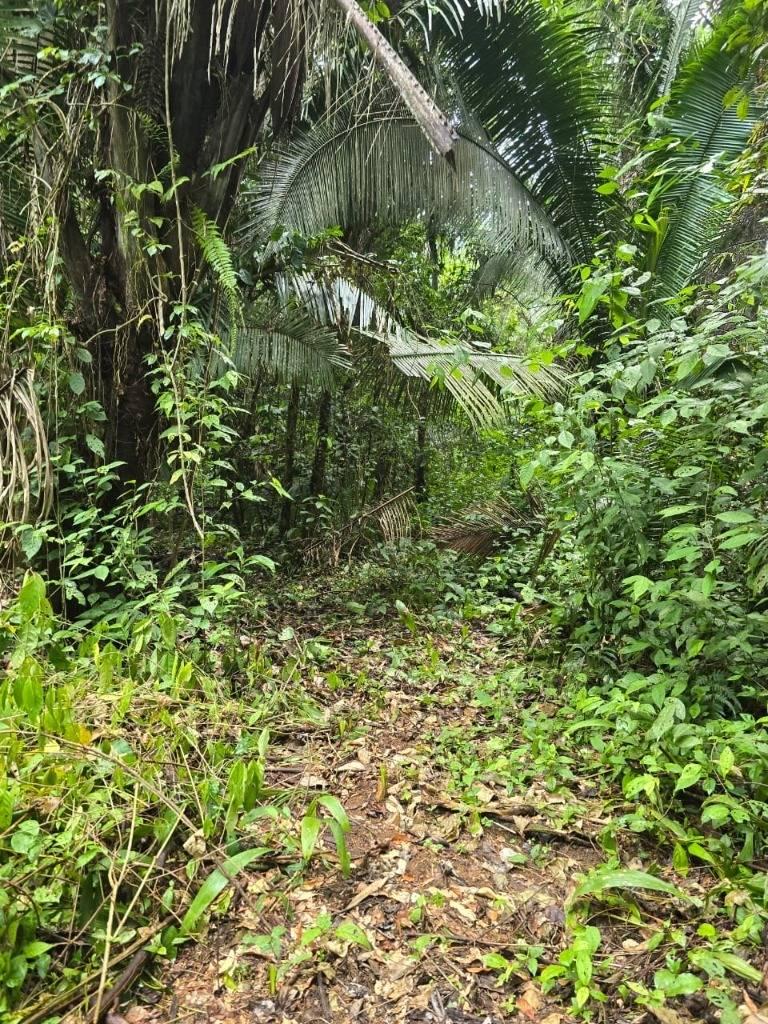 listing image with ID 90347