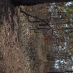 listing image thumbnail with ID 97649
