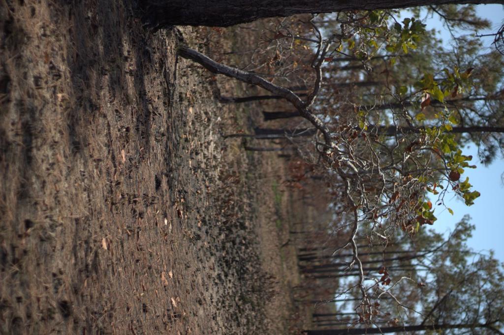 listing image with ID 97649