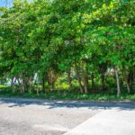 listing image thumbnail with ID 93571