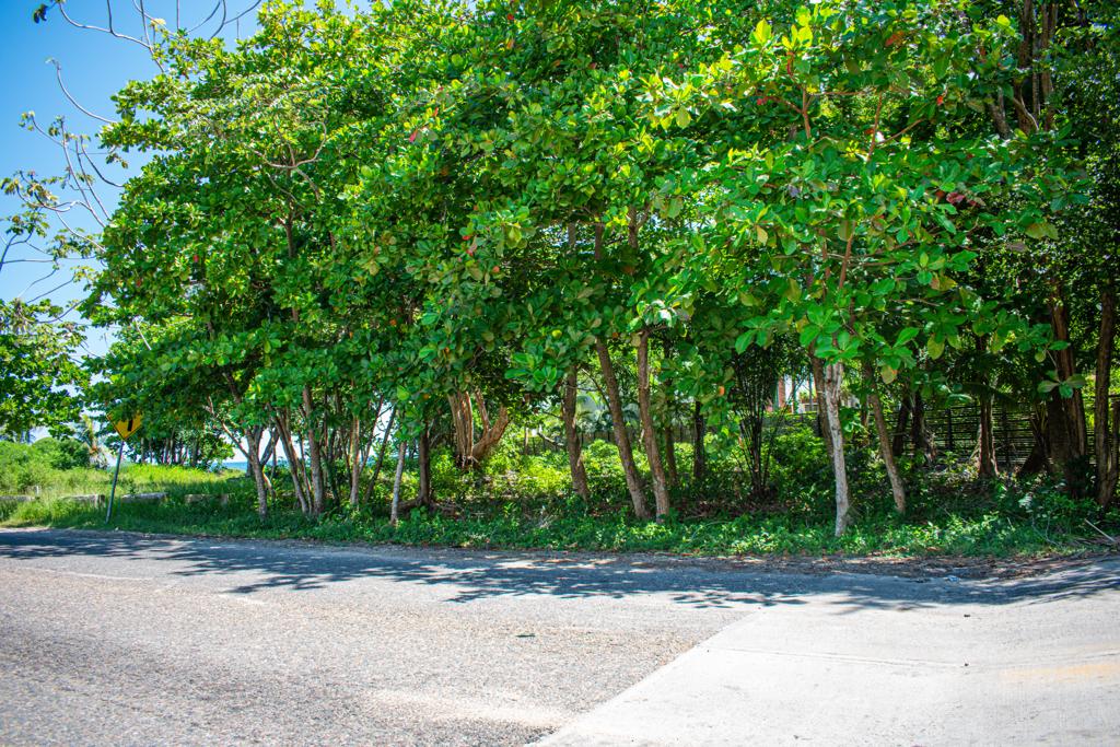 listing image with ID 93571