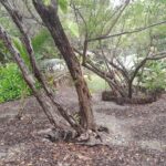 listing image thumbnail with ID 101622