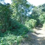 listing image thumbnail with ID 98963