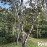 listing image thumbnail with ID 84449