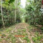 listing image thumbnail with ID 87133