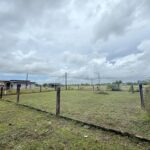 listing image thumbnail with ID 105732