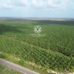 listing image thumbnail with ID 107902