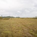 listing image thumbnail with ID 99451