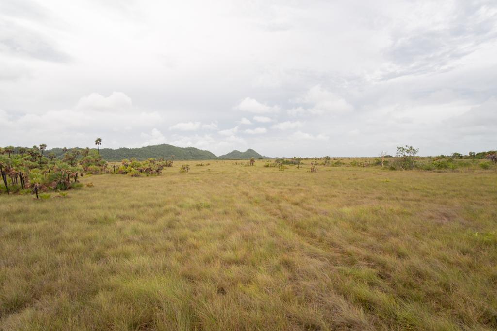 listing image with ID 99451