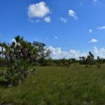 listing image thumbnail with ID 108598