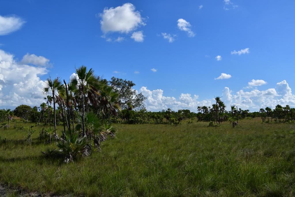 listing image with ID 108598