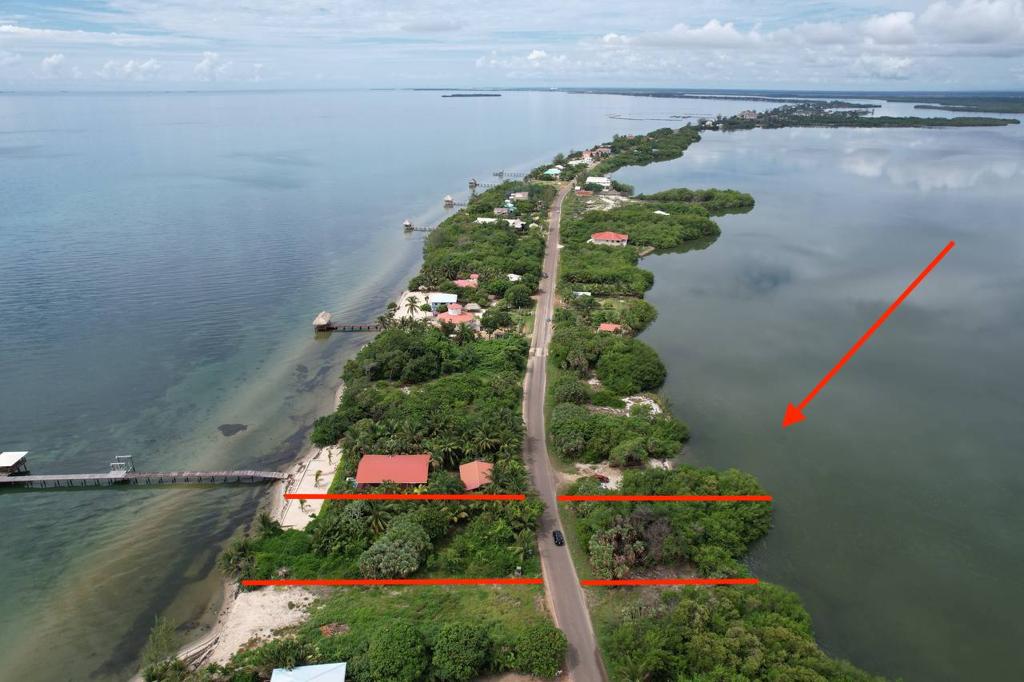 listing image with ID 103347