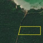 listing image thumbnail with ID 78031