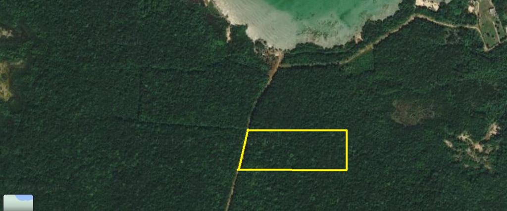 listing image with ID 78031