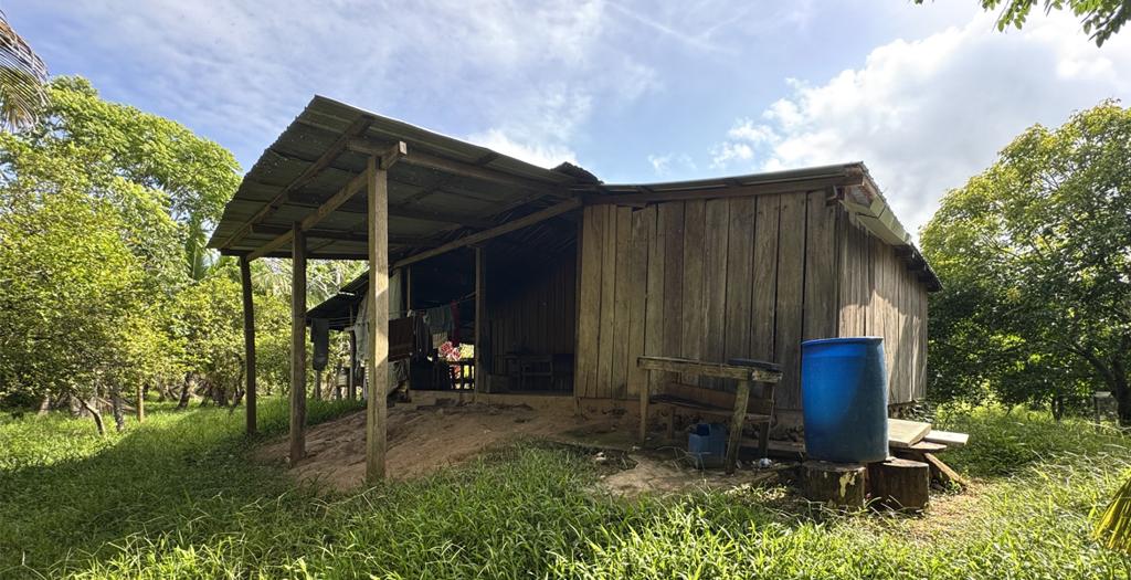 listing image with ID 94303