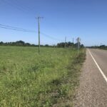 listing image thumbnail with ID 102132