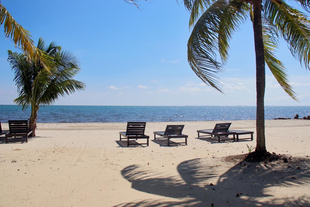 listing image with ID 78742