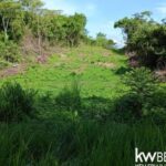 listing image thumbnail with ID 89998