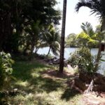 listing image thumbnail with ID 93994