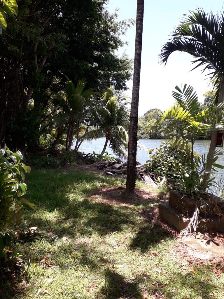 listing image with ID 93994