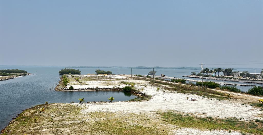 listing image with ID 87753