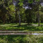 listing image thumbnail with ID 107725