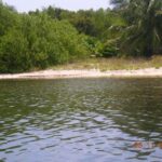 listing image thumbnail with ID 93168