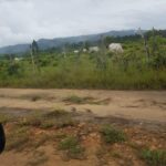 listing image thumbnail with ID 87266