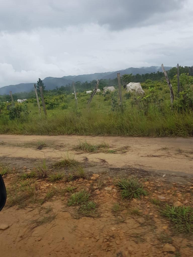 listing image with ID 87266