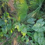 listing image thumbnail with ID 101338