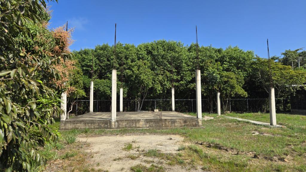 listing image with ID 100003