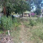 listing image thumbnail with ID 100516
