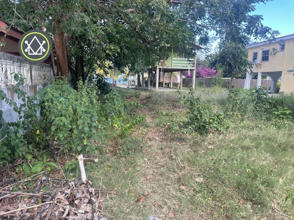 listing image with ID 100516