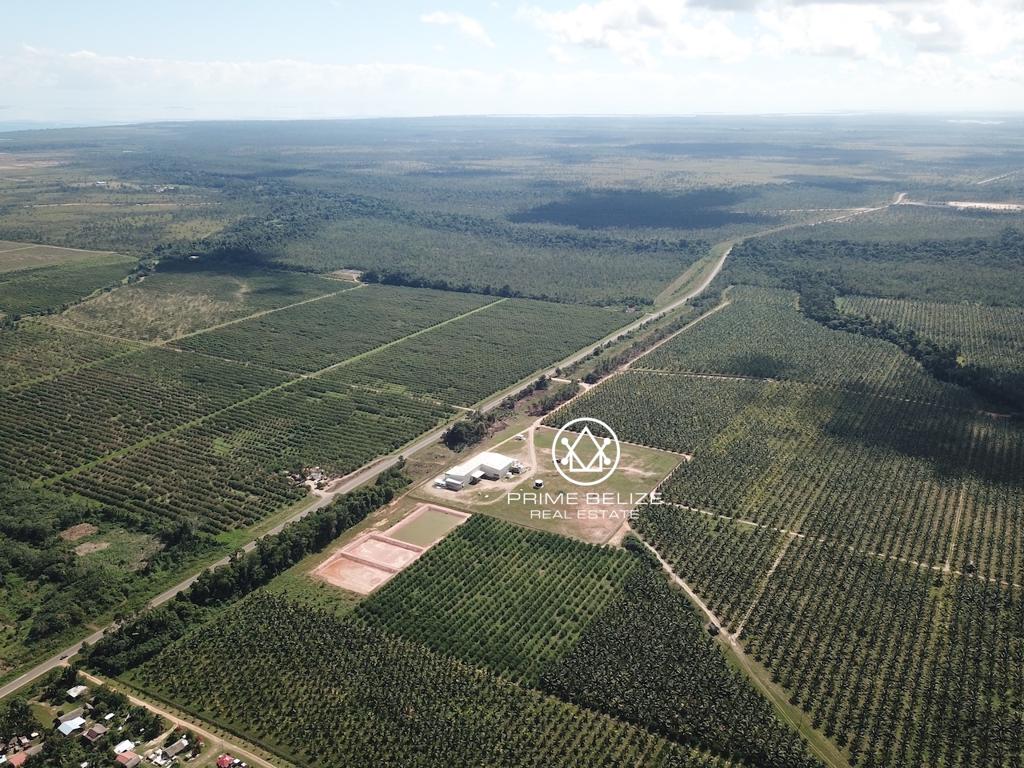 listing image with ID 95516