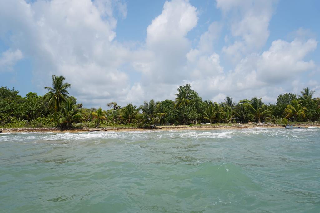 listing image with ID 84719