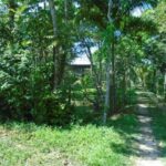 listing image thumbnail with ID 78532